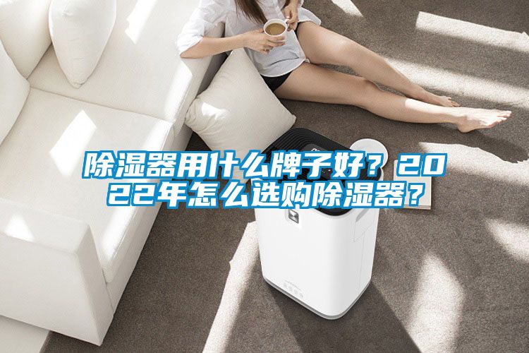 除湿器用什么牌子好?2022年怎么选购除湿器?
