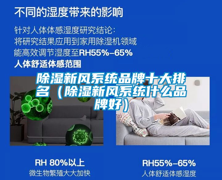 除湿新风系统品牌十大排名(除湿新风系统什么品牌好)