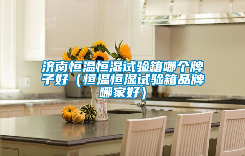 济南恒温恒湿试验箱哪个牌子好(恒温恒湿试验箱品牌哪家好)