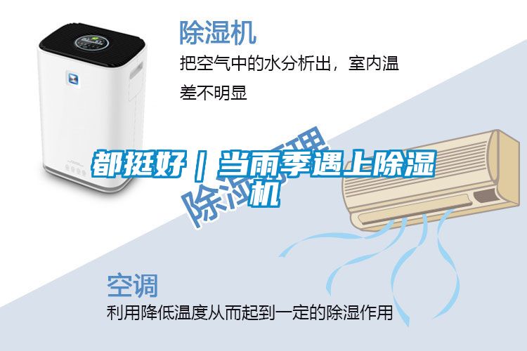 都挺好|当雨季遇上除湿机