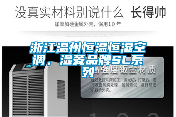 浙江温州恒温恒湿空调,湿菱品牌SL系列