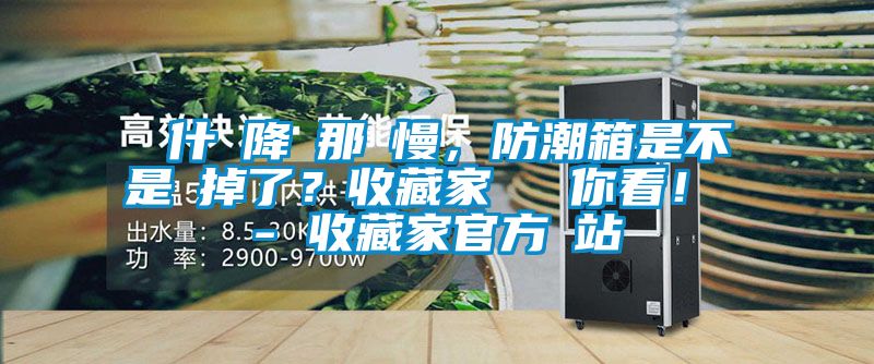 為什麼降濕那麼慢,防潮箱是不是壞掉了?收藏家實測給你看! - 收藏家官方網站