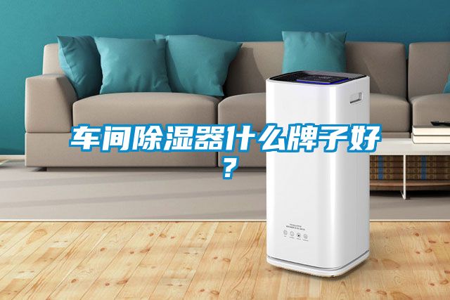车间除湿器什么牌子好?
