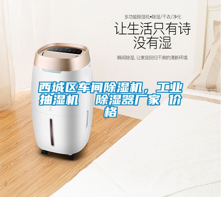 西城区车间除湿机,工业抽湿机 除湿器厂家 价格