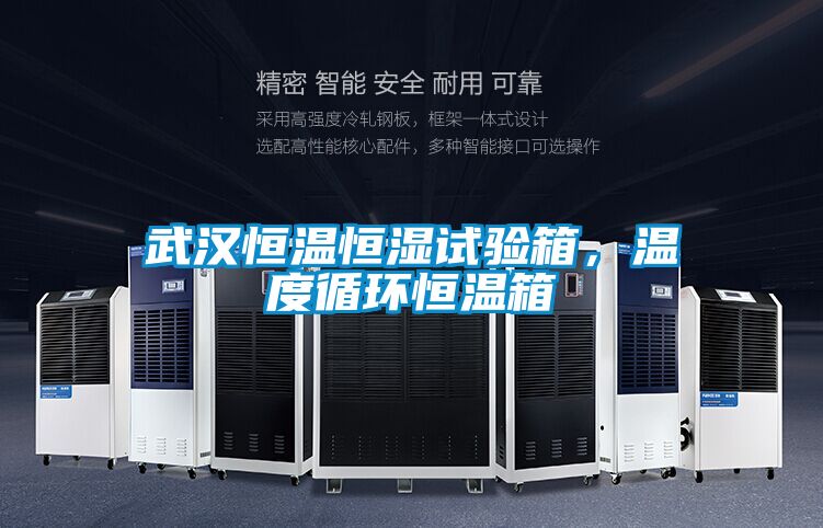 武汉恒温恒湿试验箱,温度循环恒温箱