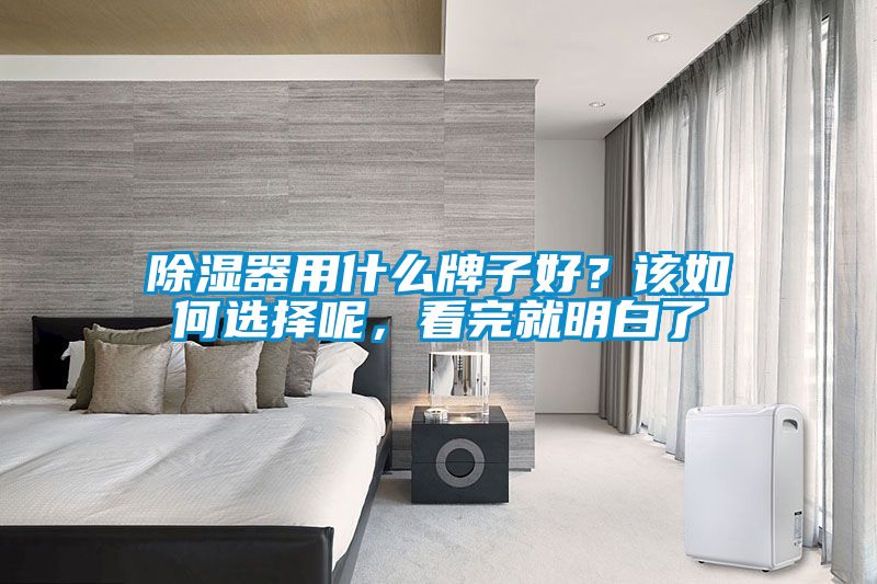 除湿器用什么牌子好?该如何选择呢,看完就明白了