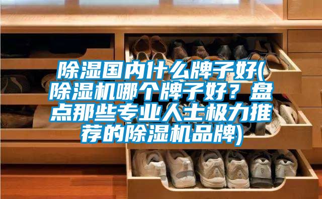 除湿国内什么牌子好(除湿机哪个牌子好?盘点那些专业人士极力推荐的除湿机品牌)