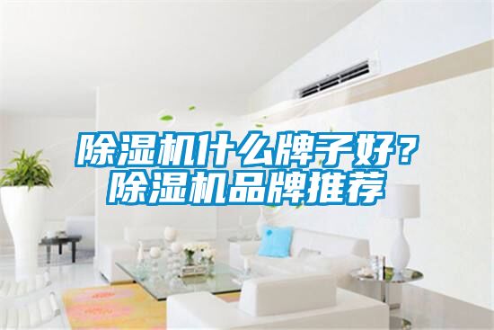 除湿机什么牌子好?除湿机品牌推荐