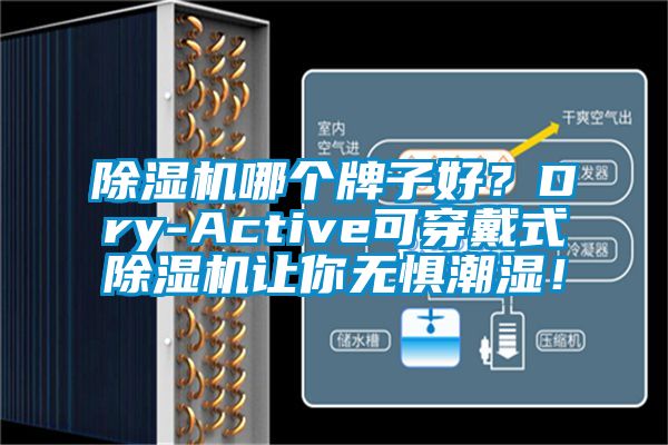 除湿机哪个牌子好？Dry-Active可穿戴式除湿机让你无惧潮湿！