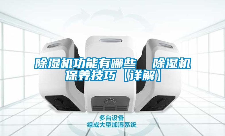 除湿机功能有哪些 除湿机保养技巧【详解】
