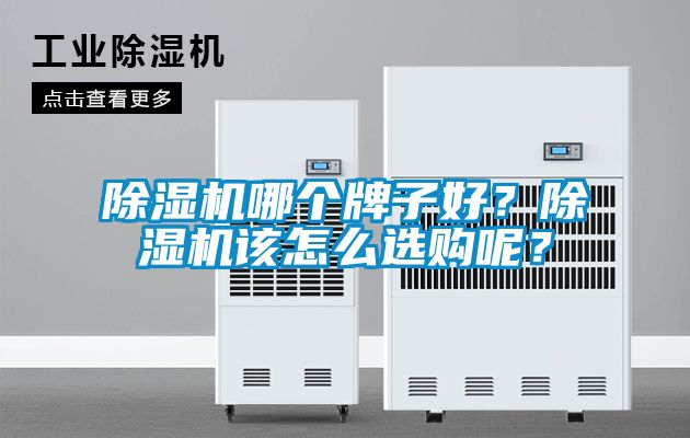 除湿机哪个牌子好?除湿机该怎么选购呢?