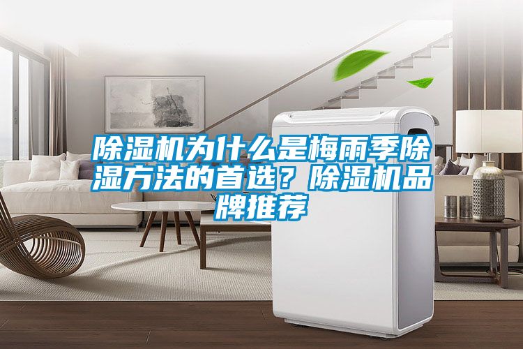 除湿机为什么是梅雨季除湿方法的首选?除湿机品牌推荐