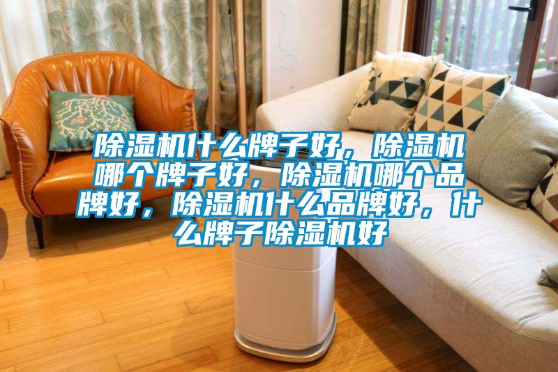 除湿机什么牌子好,除湿机哪个牌子好,除湿机哪个品牌好,除湿机什么品牌好,什么牌子除湿机好