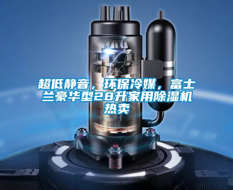 超低静音,环保冷媒,富士兰豪华型28升家用除湿机热卖