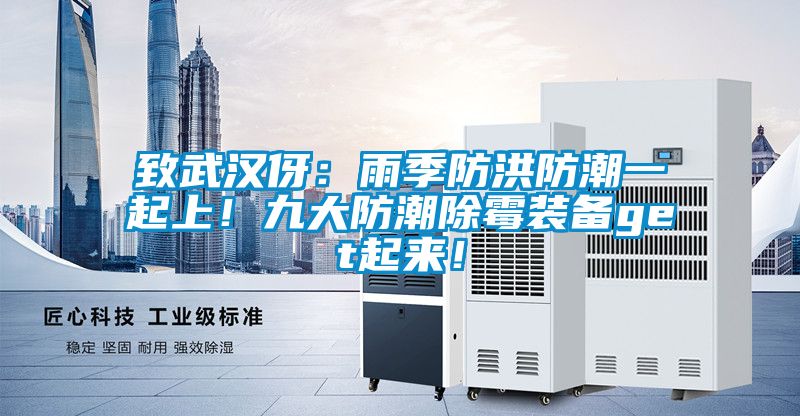 致武汉伢:雨季防洪防潮一起上!九大防潮除霉装备get起来!