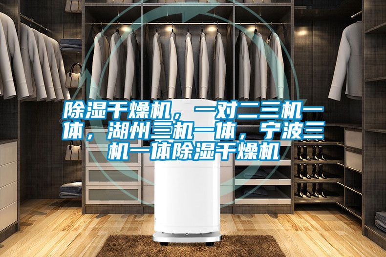 除湿干燥机,一对二三机一体,湖州三机一体,宁波三机一体除湿干燥机