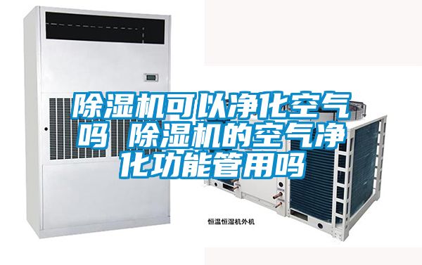 除湿机可以净化空气吗 除湿机的空气净化功能管用吗