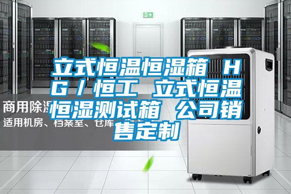 立式恒温恒湿箱 HG/恒工 立式恒温恒湿测试箱 公司销售定制
