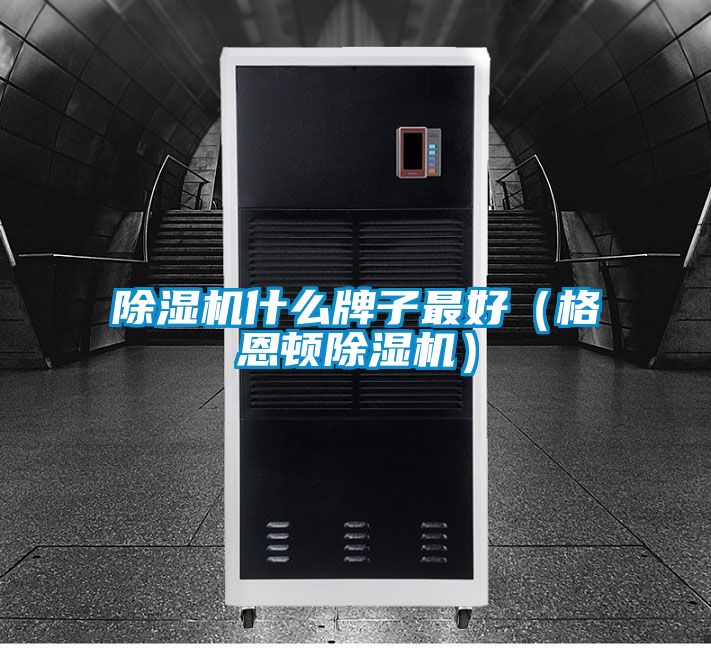 除湿机什么牌子最好(格恩顿除湿机)
