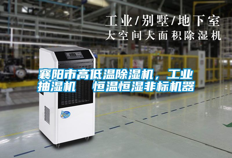 襄阳市高低温除湿机,工业抽湿机 恒温恒湿非标机器