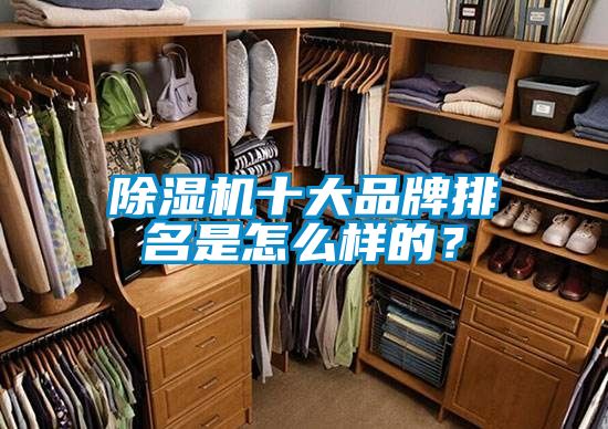 除湿机十大品牌排名是怎么样的?