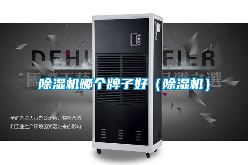 除湿机哪个牌子好(除湿机)