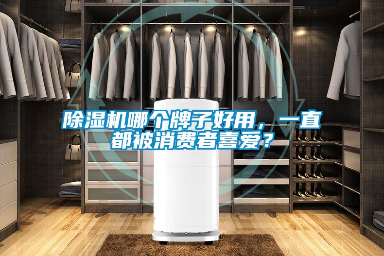 除湿机哪个牌子好用,一直都被消费者喜爱?