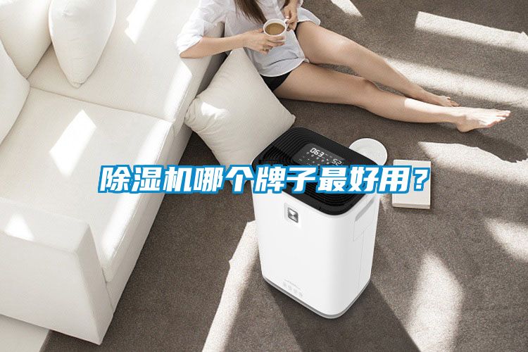 除湿机哪个牌子最好用?
