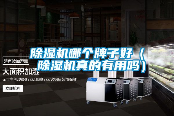 除湿机哪个牌子好( 除湿机真的有用吗)