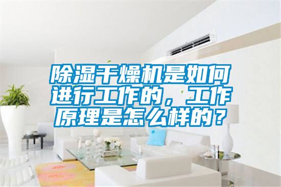 除湿干燥机是如何进行工作的,工作原理是怎么样的?