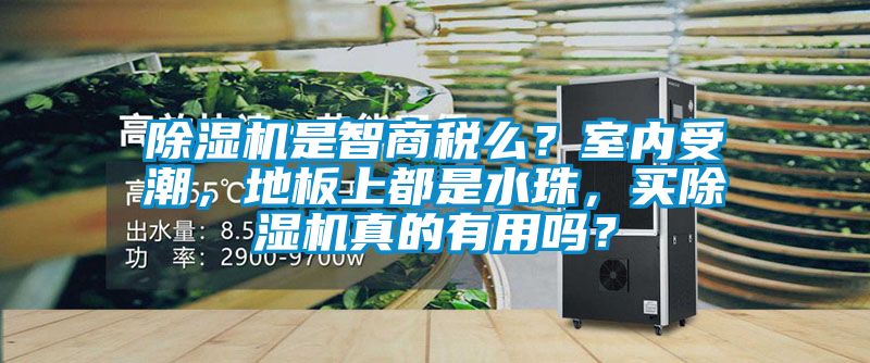 除湿机是智商税么?室内受潮,地板上都是水珠,买除湿机真的有用吗?
