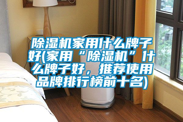 除湿机家用什么牌子好(家用“除湿机”什么牌子好,推荐使用品牌排行榜前十名)