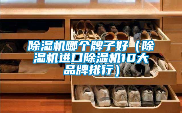 除湿机哪个牌子好(除湿机进口除湿机10大品牌排行)