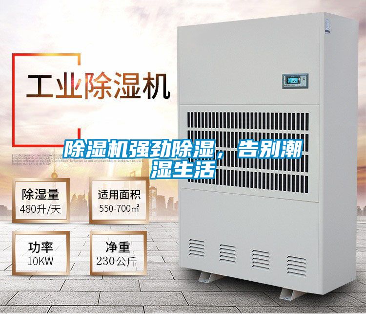 除湿机强劲除湿,告别潮湿生活