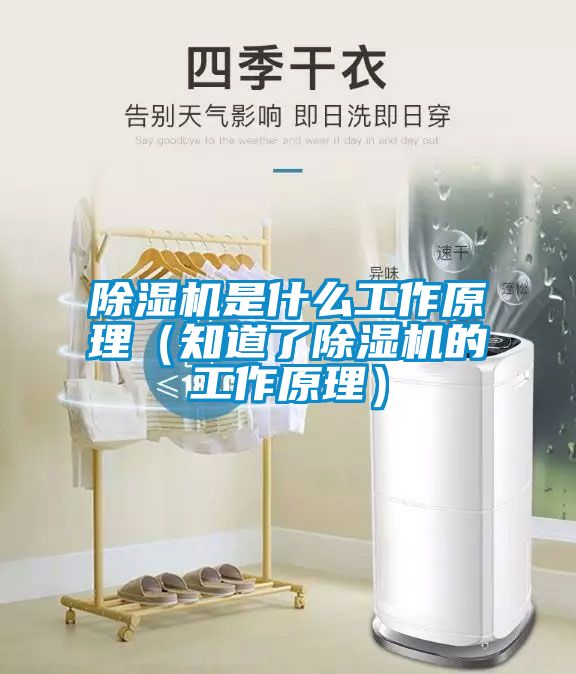 除湿机是什么工作原理(知道了除湿机的工作原理)