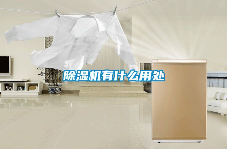 除湿机有什么用处
