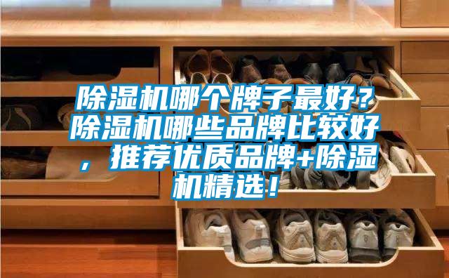 除湿机哪个牌子最好?除湿机哪些品牌比较好,推荐优质品牌+除湿机精选!