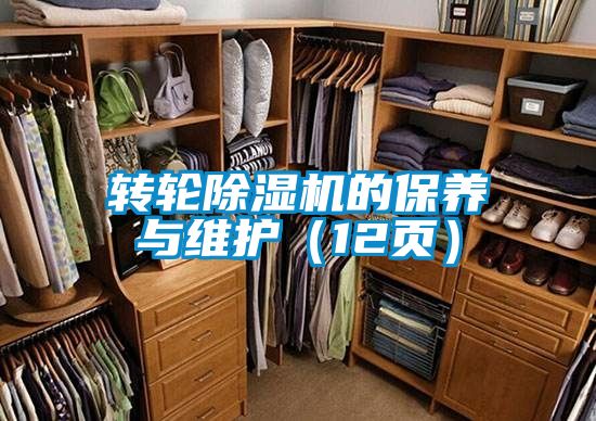 转轮除湿机的保养与维护(12页)