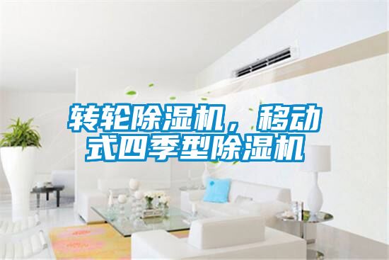 转轮除湿机,移动式四季型除湿机