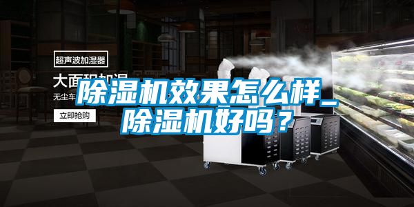 除湿机效果怎么样_除湿机好吗?