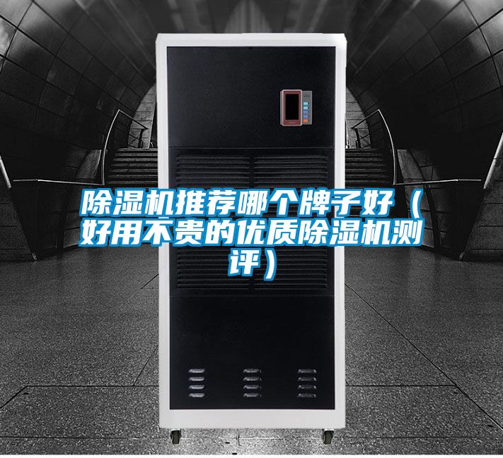 除湿机推荐哪个牌子好(好用不贵的优质除湿机测评)