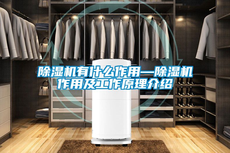 除湿机有什么作用—除湿机作用及工作原理介绍