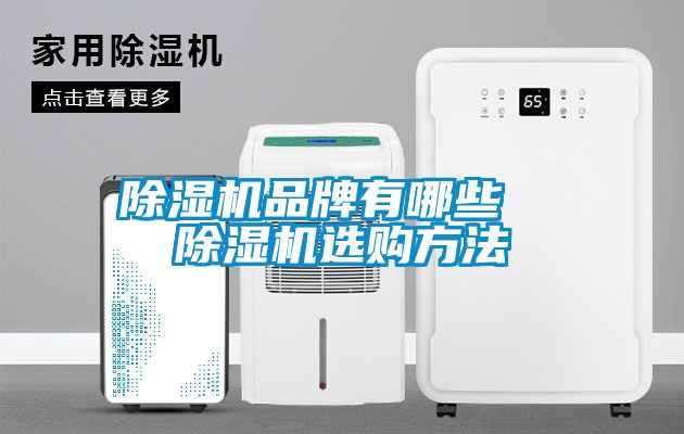 除湿机品牌有哪些 除湿机选购方法