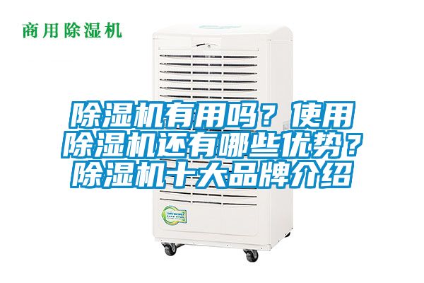 除湿机有用吗?使用除湿机还有哪些优势?除湿机十大品牌介绍
