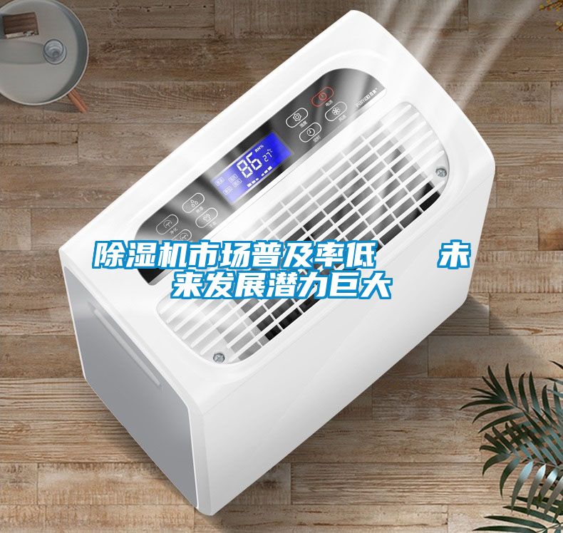 除湿机市场普及率低 未来发展潜力巨大