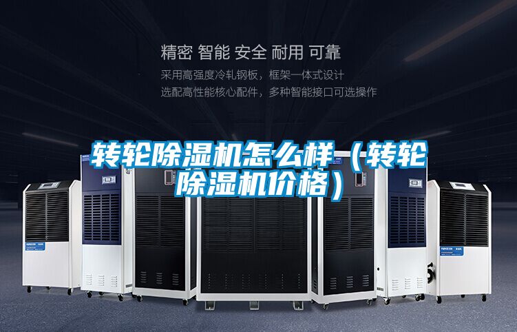 转轮除湿机怎么样(转轮除湿机价格)