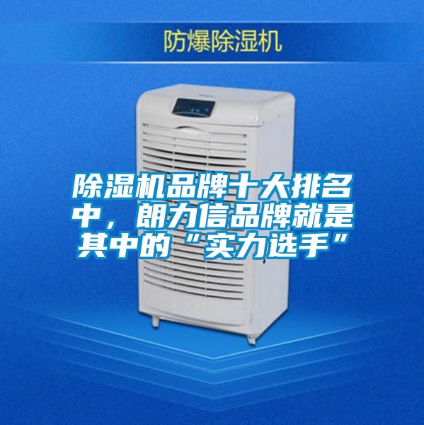 除湿机品牌十大排名中,朗力信品牌就是其中的“实力选手”