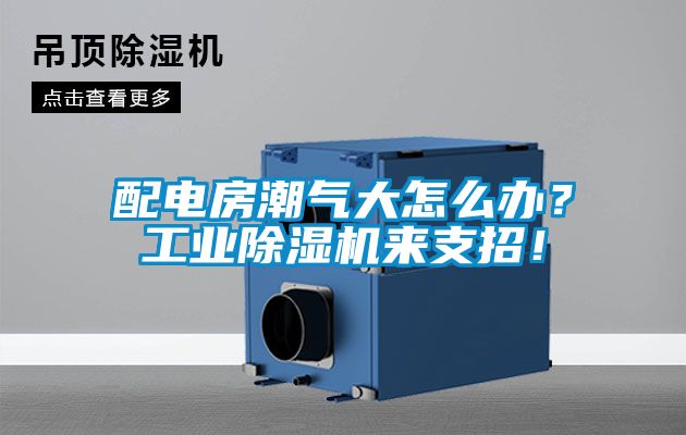 配电房潮气大怎么办?工业除湿机来支招!