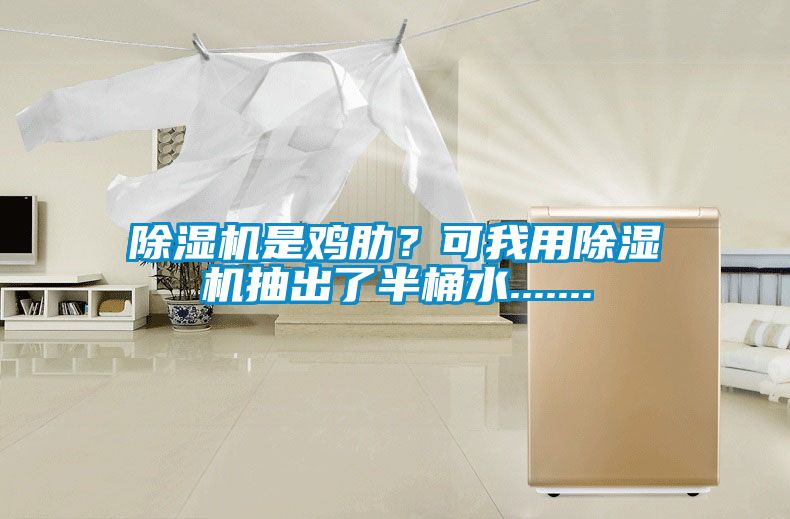 除湿机是鸡肋?可我用除湿机抽出了半桶水.......