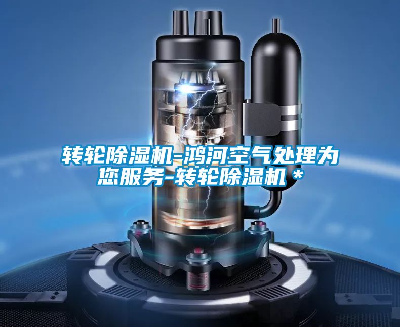 转轮除湿机-鸿河空气处理为您服务-转轮除湿机*